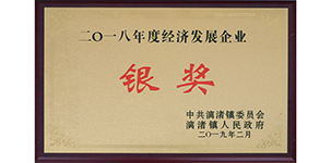 荣获漓渚镇2018年度经济发展银奖.JPG