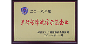 2018年劳动保障诚信示范企业.JPG