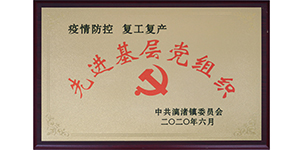 2020年评为疫情防控先进基层党组织.JPG