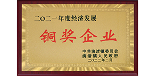 2021年荣获漓渚镇2021年度经济发展铜奖.JPG